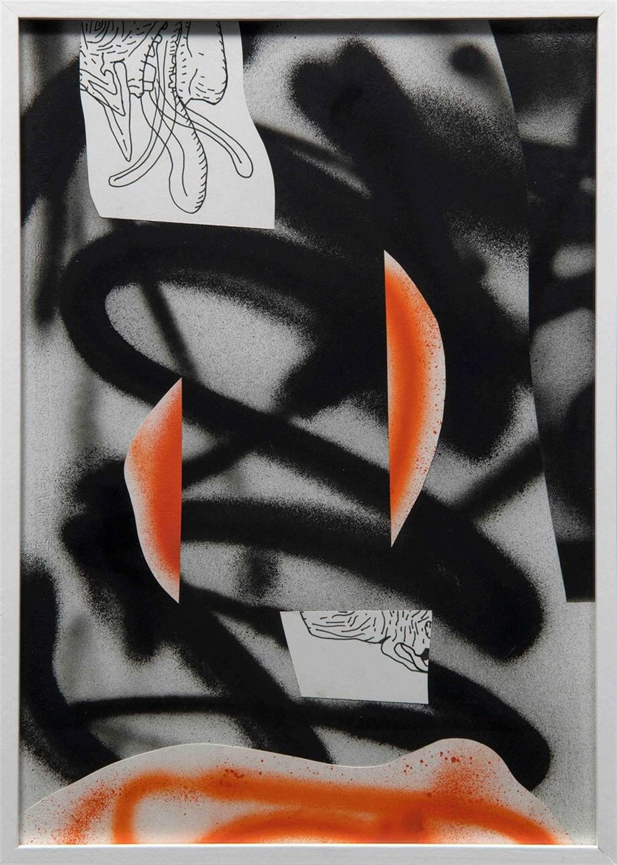 İsimsiz - Olcay Kuş