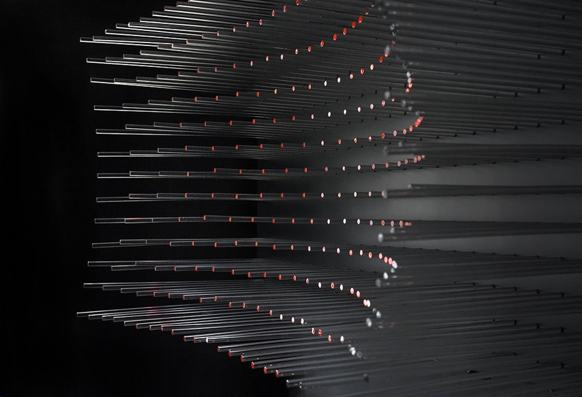 LINKS - Candaş Şişman