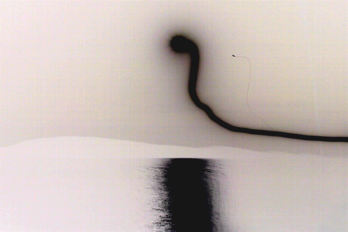 Martian Chronicles I - Lara Kamhi