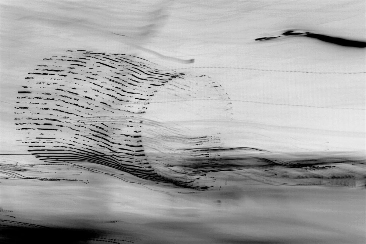 Wind II - Lara Kamhi