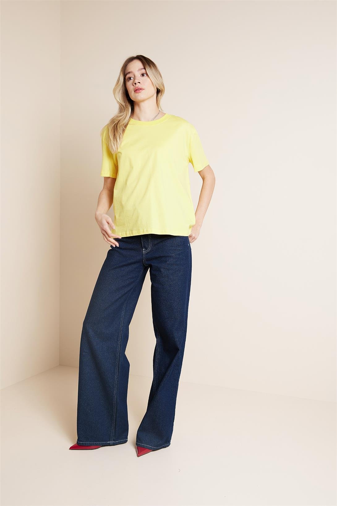 Avrile  BİSİKLET YAKA KISA KOLLU T-SHIRT SARI A25-10341