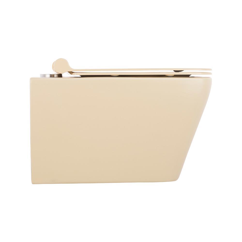 Pure ConceptPure Concept Mat Bej Kanalsız Asma Klozet ( Outlet )