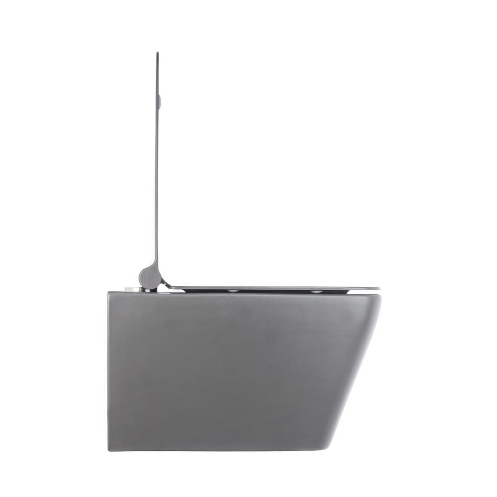 Pure Concept Mat Gri Kanalsız Asma Klozet (Outlet)