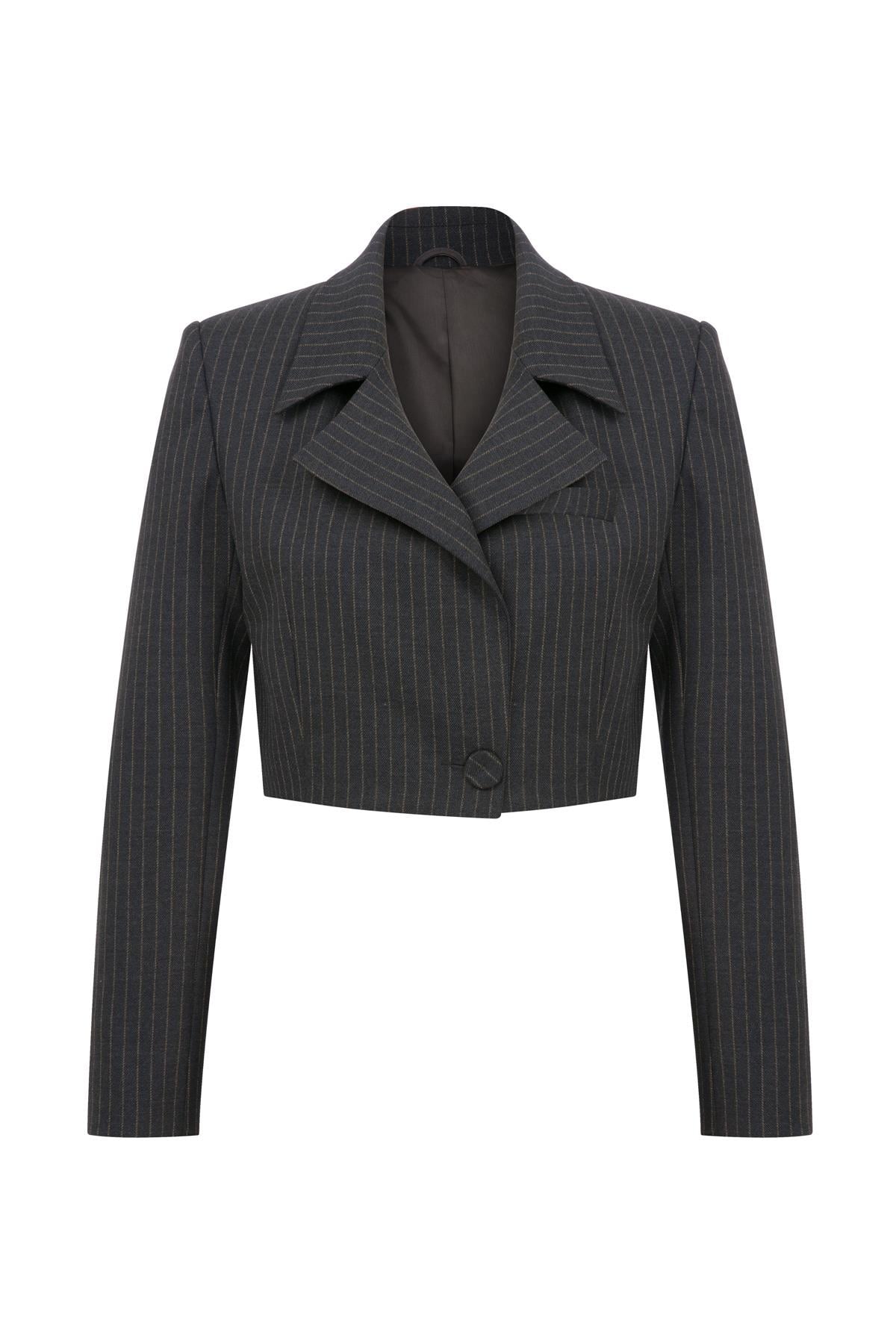 Ivv Gri Çizgili Crop Ceket