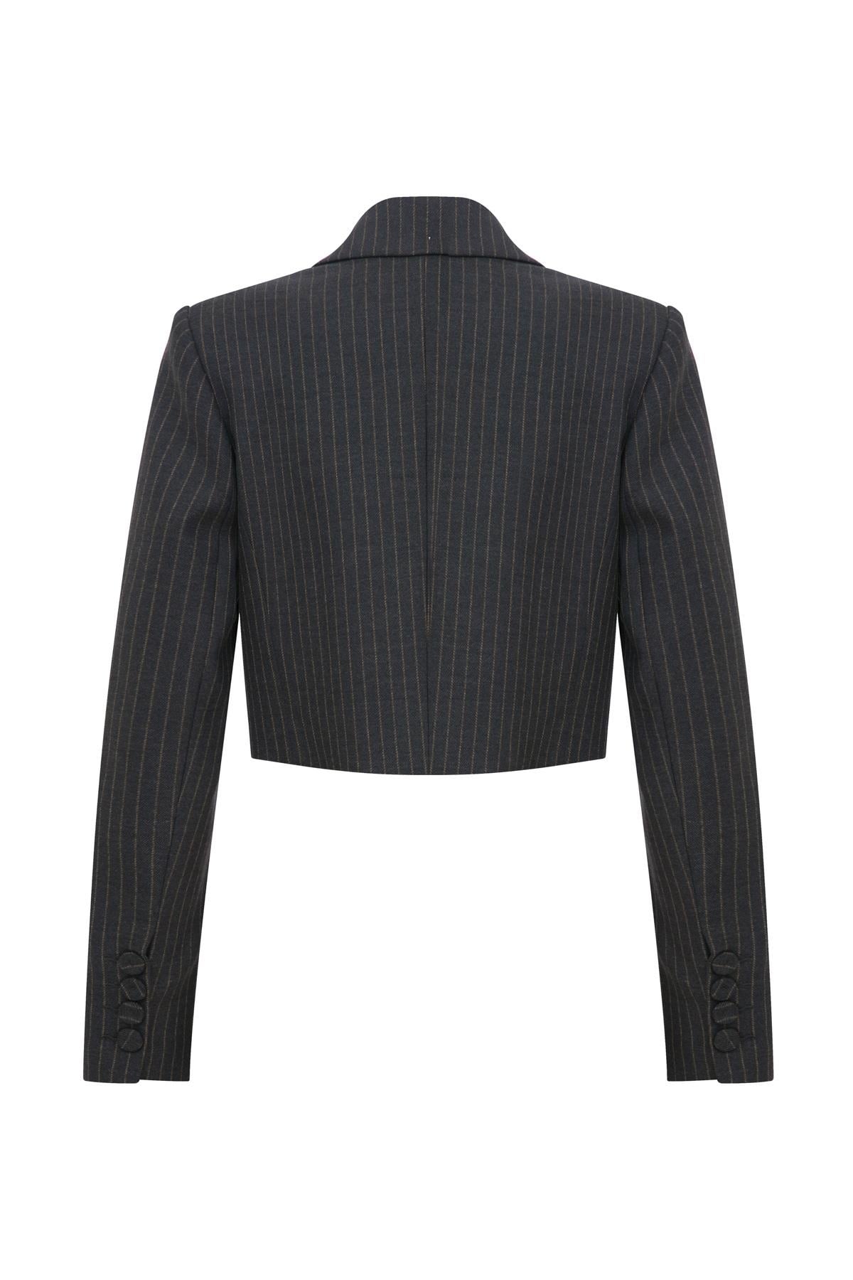 Ivv Gri Çizgili Crop Ceket