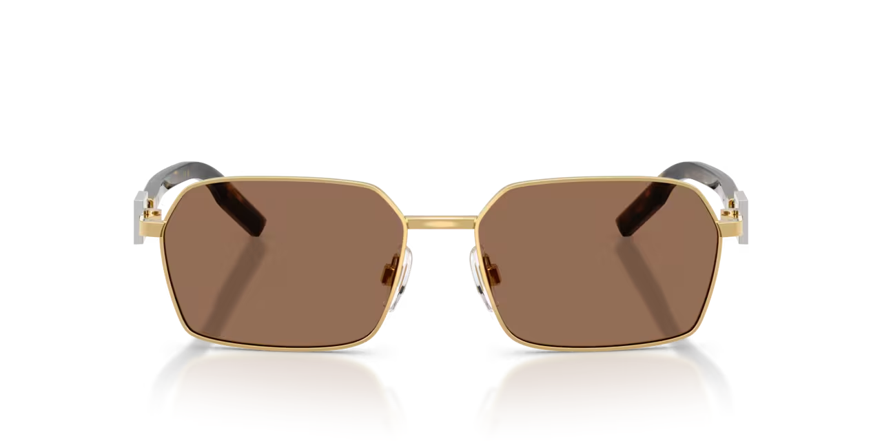 DG DG2316 02/73 56-16-145 Unisex Güneş Gözlüğü