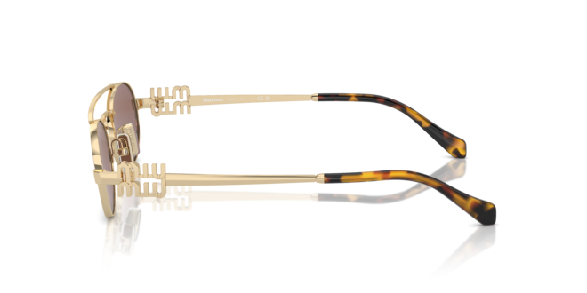 MİU MİU MU54ZS ZVN70D 53-19-140 Kadın Güneş Gözlüğü