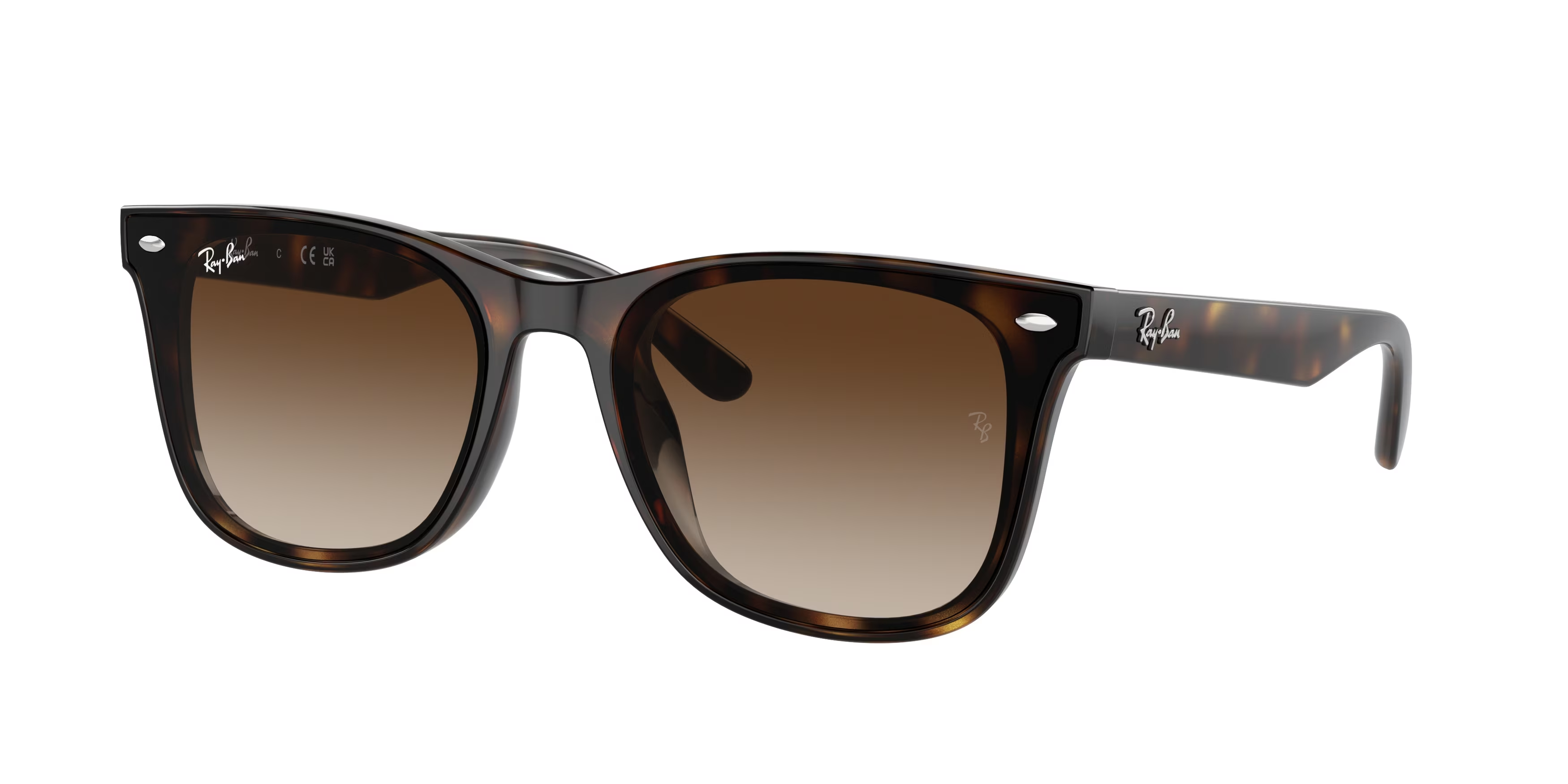 RAY-BAN RB4420 710/13 65-18-145 Erkek Güneş Gözlüğü