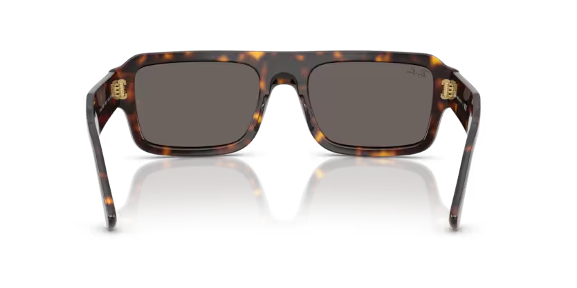 RB RB4454 667748 56-20-145 Unisex Güneş Gözlüğü