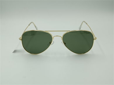 EINETTI EI1022 C103 55-14-140 Unisex Güneş Gözlüğü