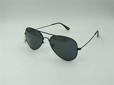 EINETTI EI1022 C108M 58-14-140 Unisex Güneş Gözlüğü