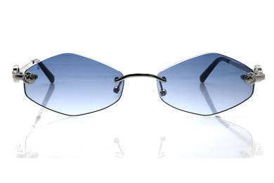 ELEGANCE EG 2021 C2 55-17-140 Güneş Gözlüğü