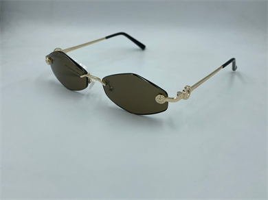 ELEGANCE EG 2021 C5 55-17-140 Güneş Gözlüğü