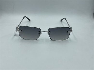 ELEGANCE EG 2022 C1 55-17-140 Güneş Gözlüğü