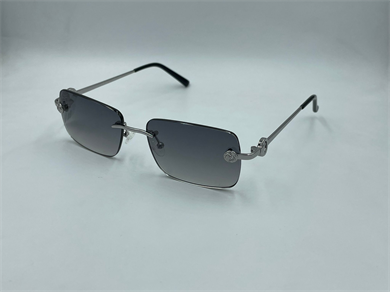 ELEGANCE EG 2022 C1 55-17-140 Güneş Gözlüğü