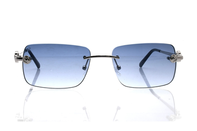 ELEGANCE EG 2022 C2 55-17-140 Güneş Gözlüğü