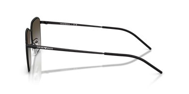 EMPORİO ARMANİ EA2172D 300113 60-17-150 Güneş Gözlüğü