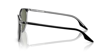 RAY-BAN RB2204 919/58 51-20-145 Unisex Güneş Gözlüğü