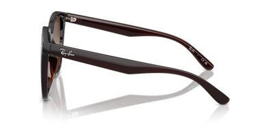 RAY-BAN RB4423D 714/13 66-15-145 Unisex Güneş Gözlüğü