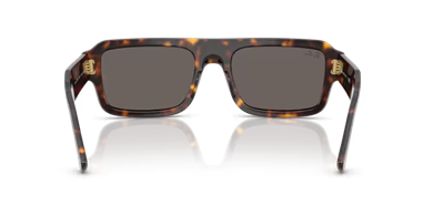 RB RB4454 667748 56-20-145 Unisex Güneş Gözlüğü