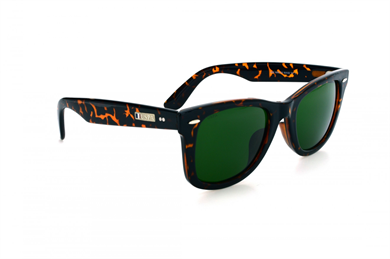 U.S. POLO ASSN. U.S.P.A. 0353 C3 52-229-141 Kadın Güneş Gözlüğü