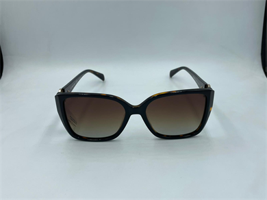 U.S. POLO ASSN. U.S.P.A. 0456 C2 55-17-145 Güneş Gözlüğü