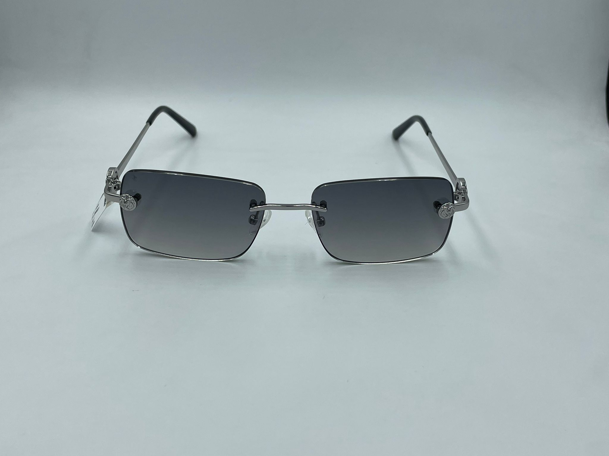 ELEGANCE EG 2022 C1 55-17-140 Güneş Gözlüğü