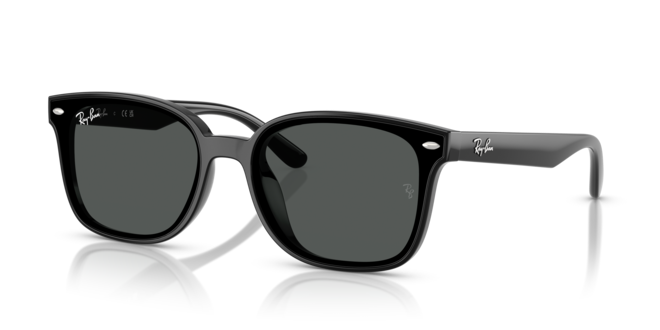 RAY-BAN RB4461D 601/87 64-17-145 Erkek Güneş Gözlüğü