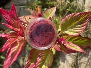 Krem Far / Ruj / Allık DUO 15 Gr Pembe Zambak