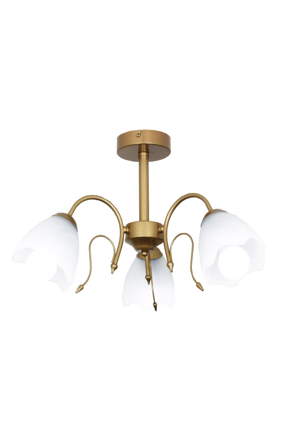 Taşcan Aydınlatma Eliza 3 lü Gold Eskitme Boyalı Plafonyer Avize-Camlı 3091 03 0400 10 01