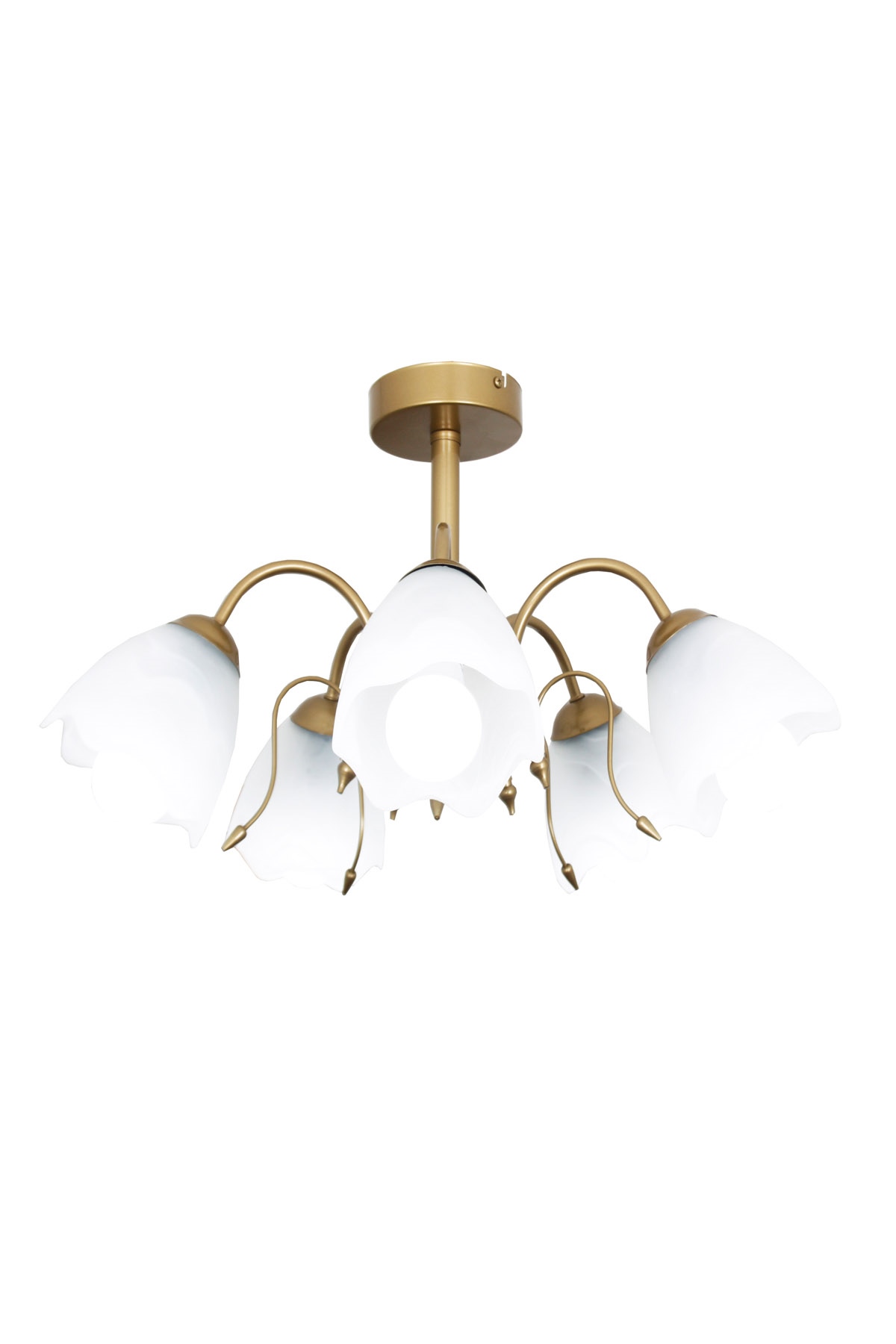 Taşcan Aydınlatma Eliza 5 li Gold Eskitme Boyalı  Plafonyer Avize-Camlı 3091 05 0400 10 01