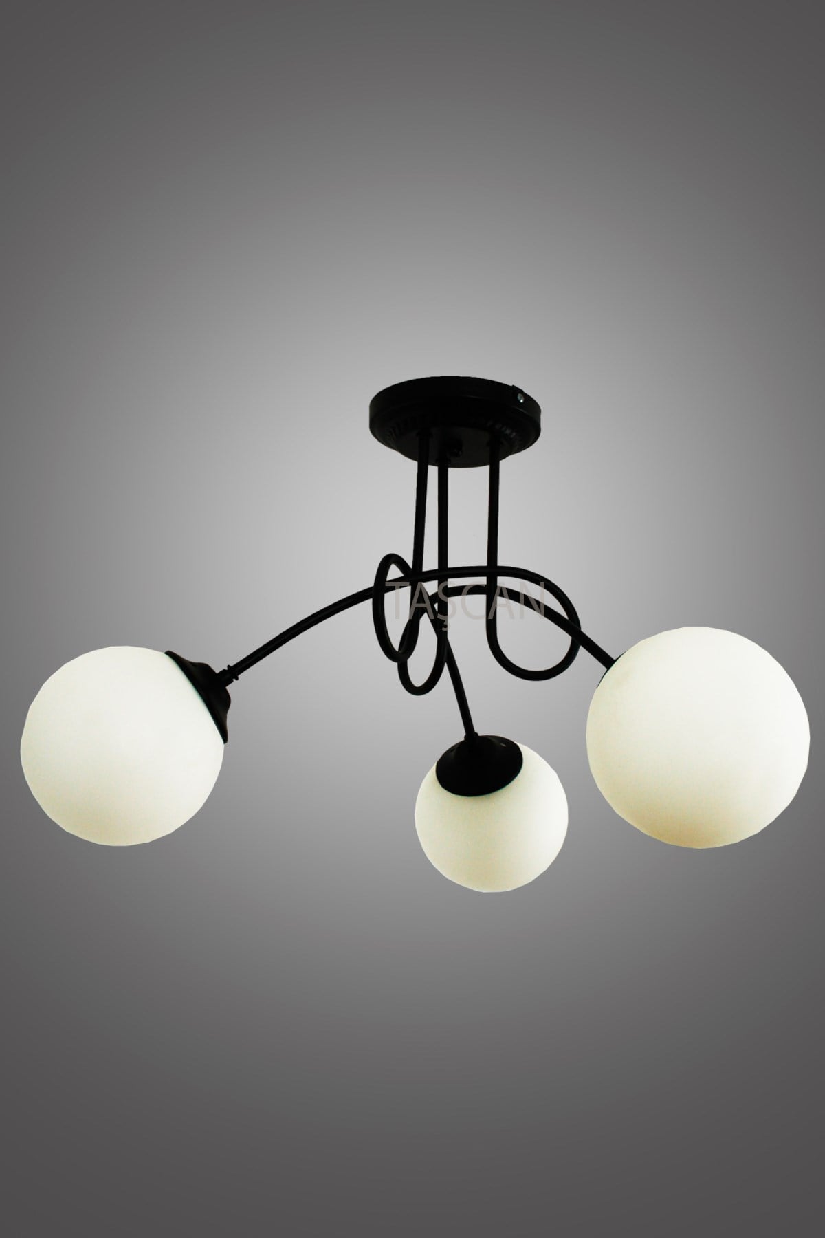 Alberto 3 Lü Siyah Plafonyer Avize-Beyaz Camlı