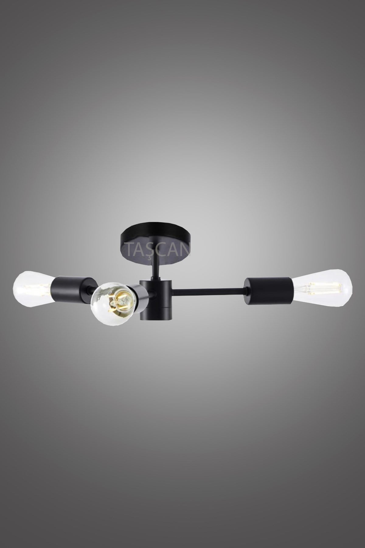 Rosa Modern 4 Lü Siyah Plafonyer Avize