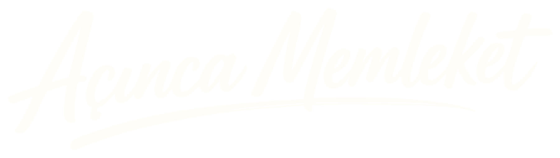 Açınca Memleket