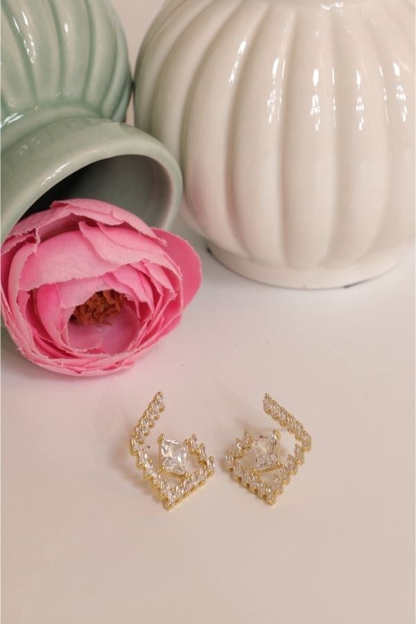 Trend Series Stone Earrings