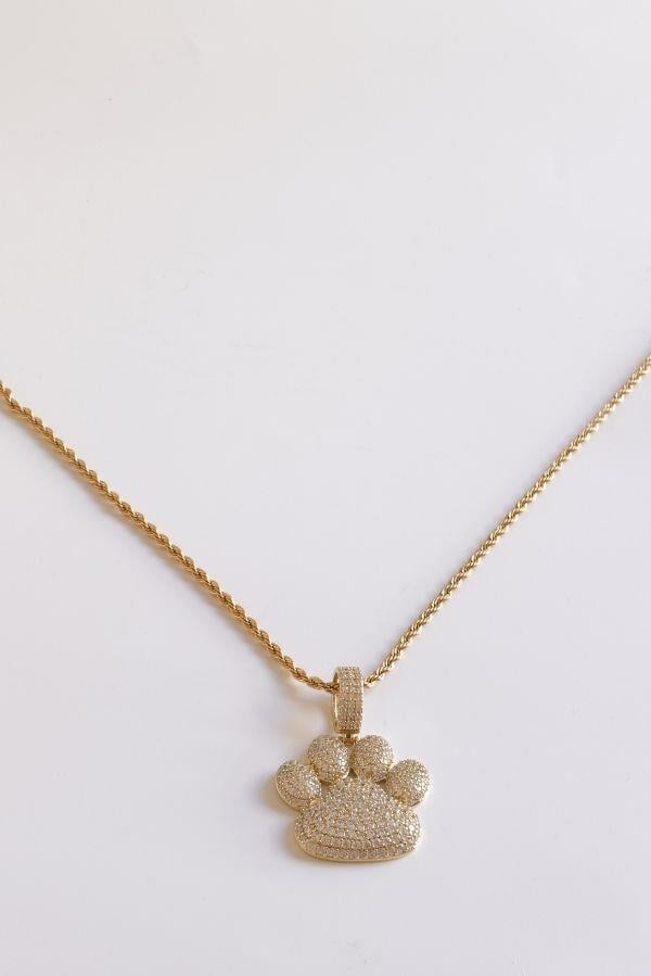 Stone Paw Print Model Steel Necklace