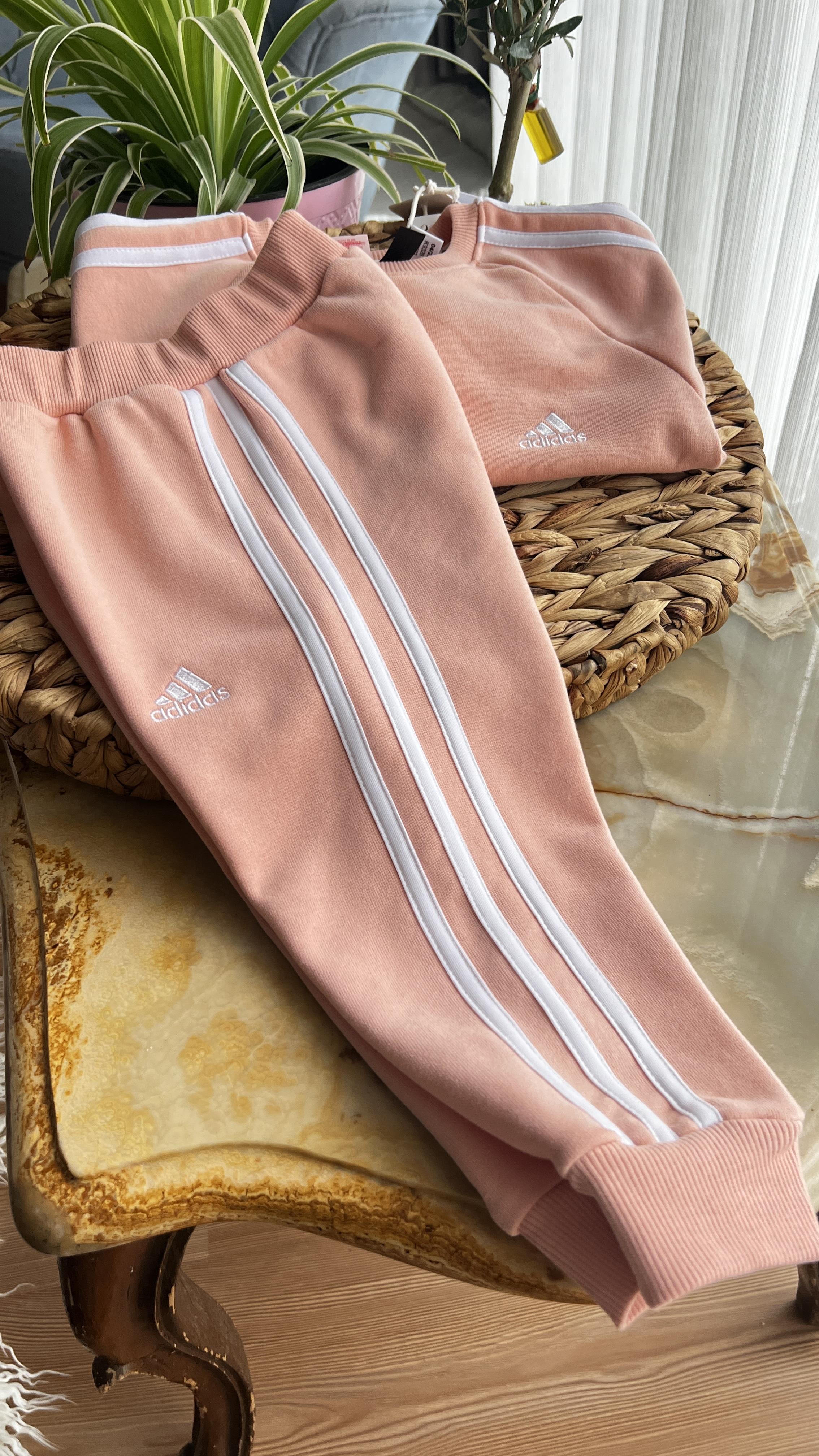 Adidas pudra 