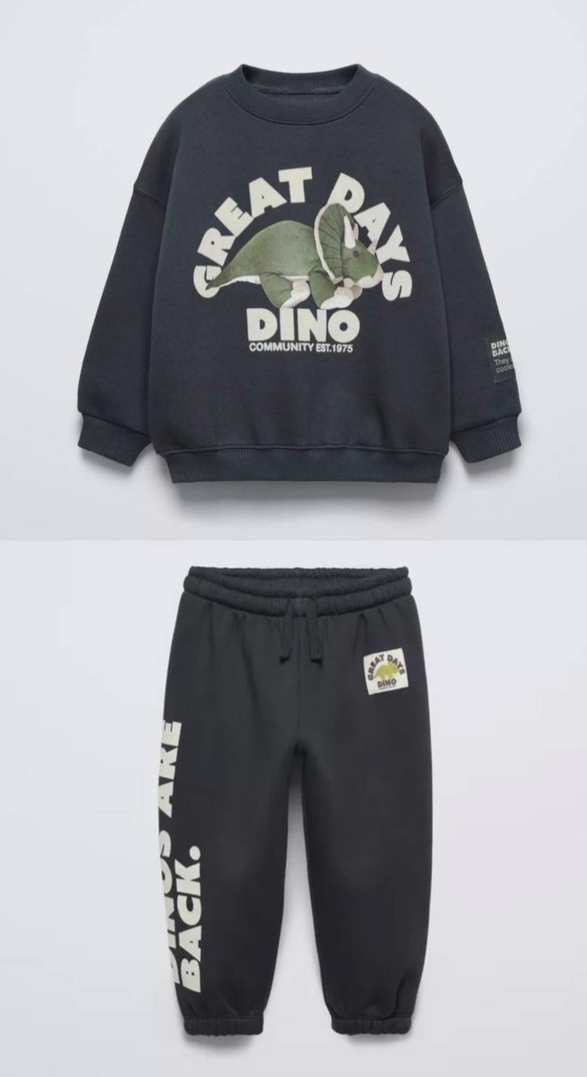 Erkek çocuk zara dino takım