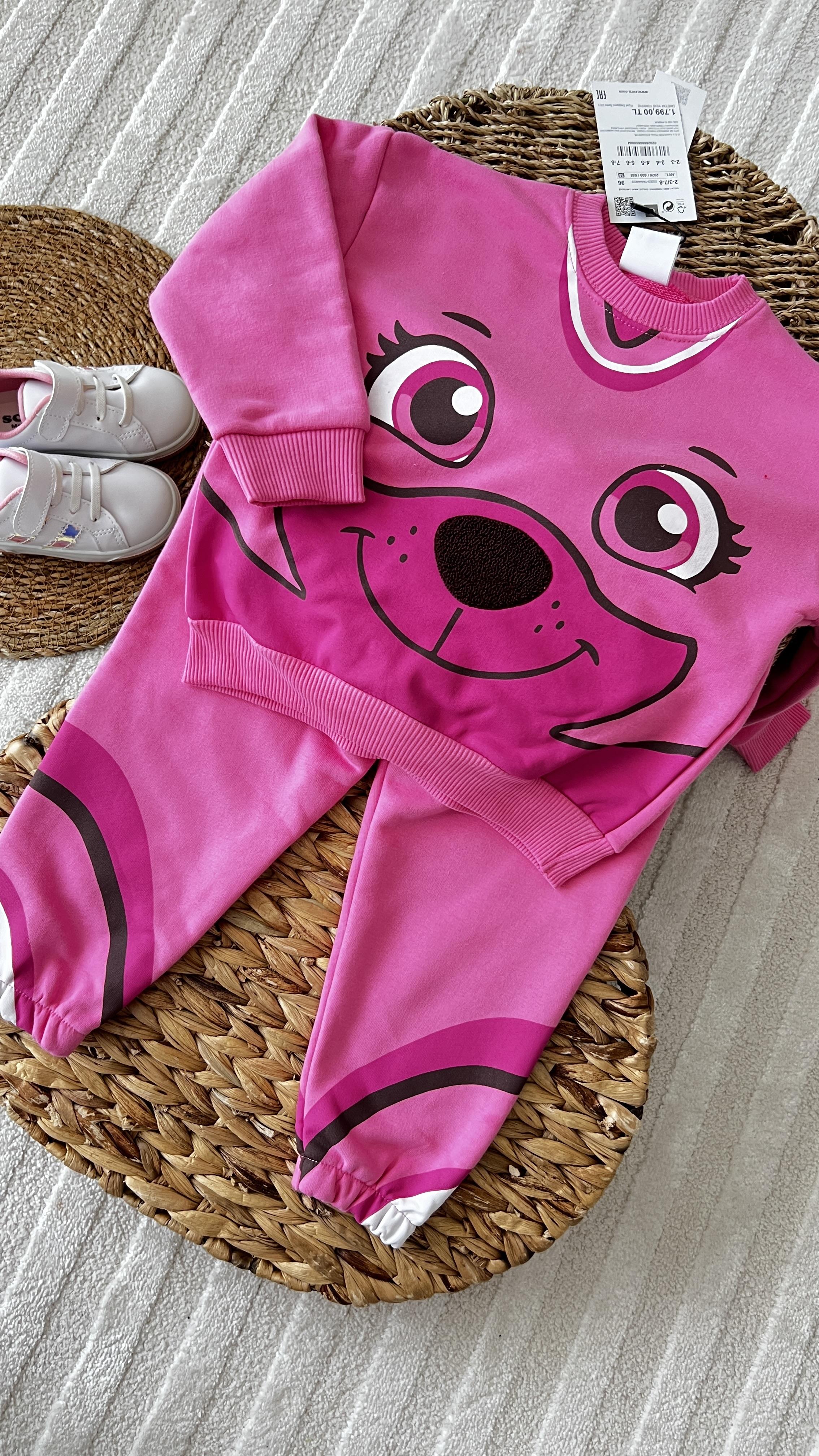 Kız çocuk pembe paw patrol