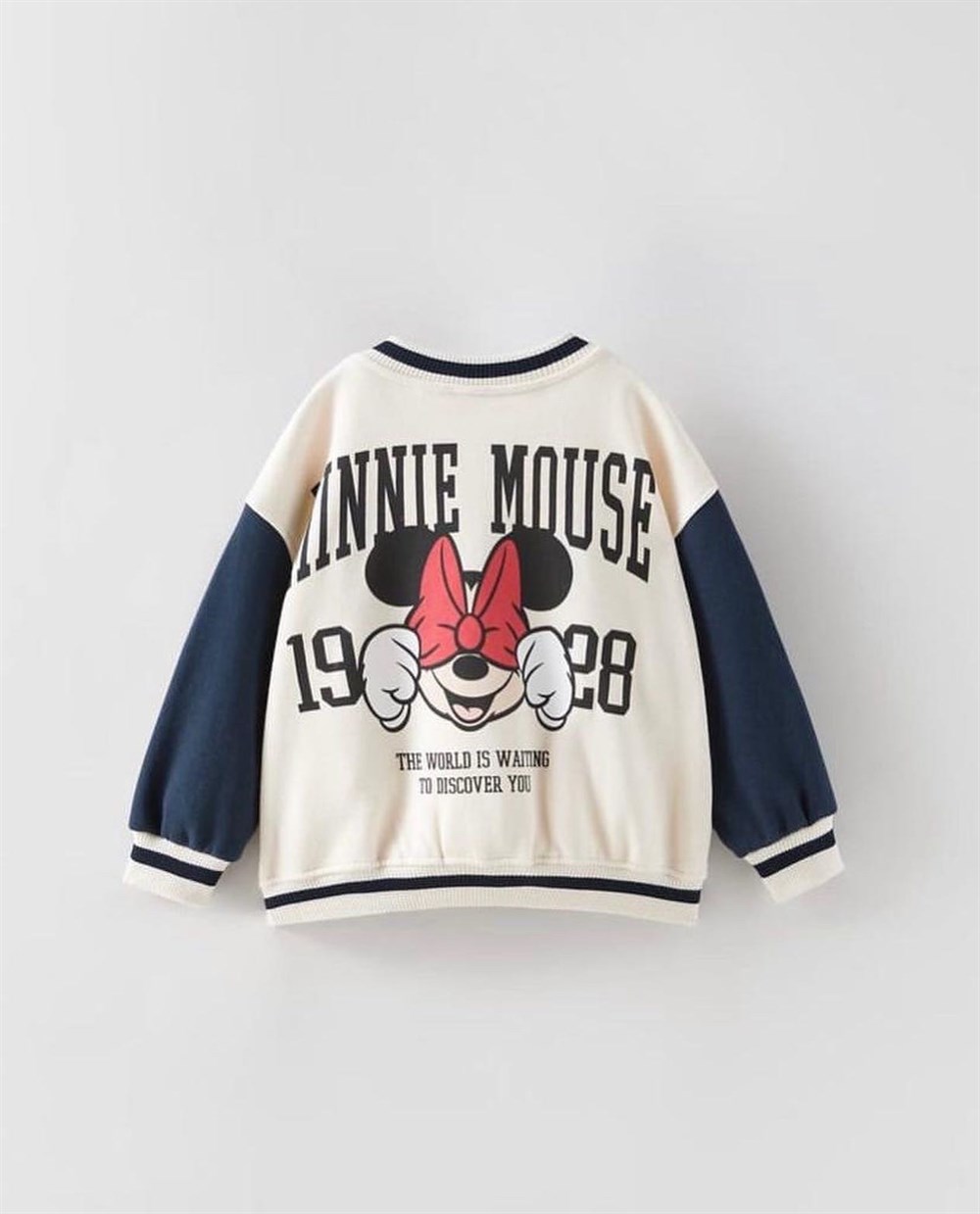 Mickey mouse collage 