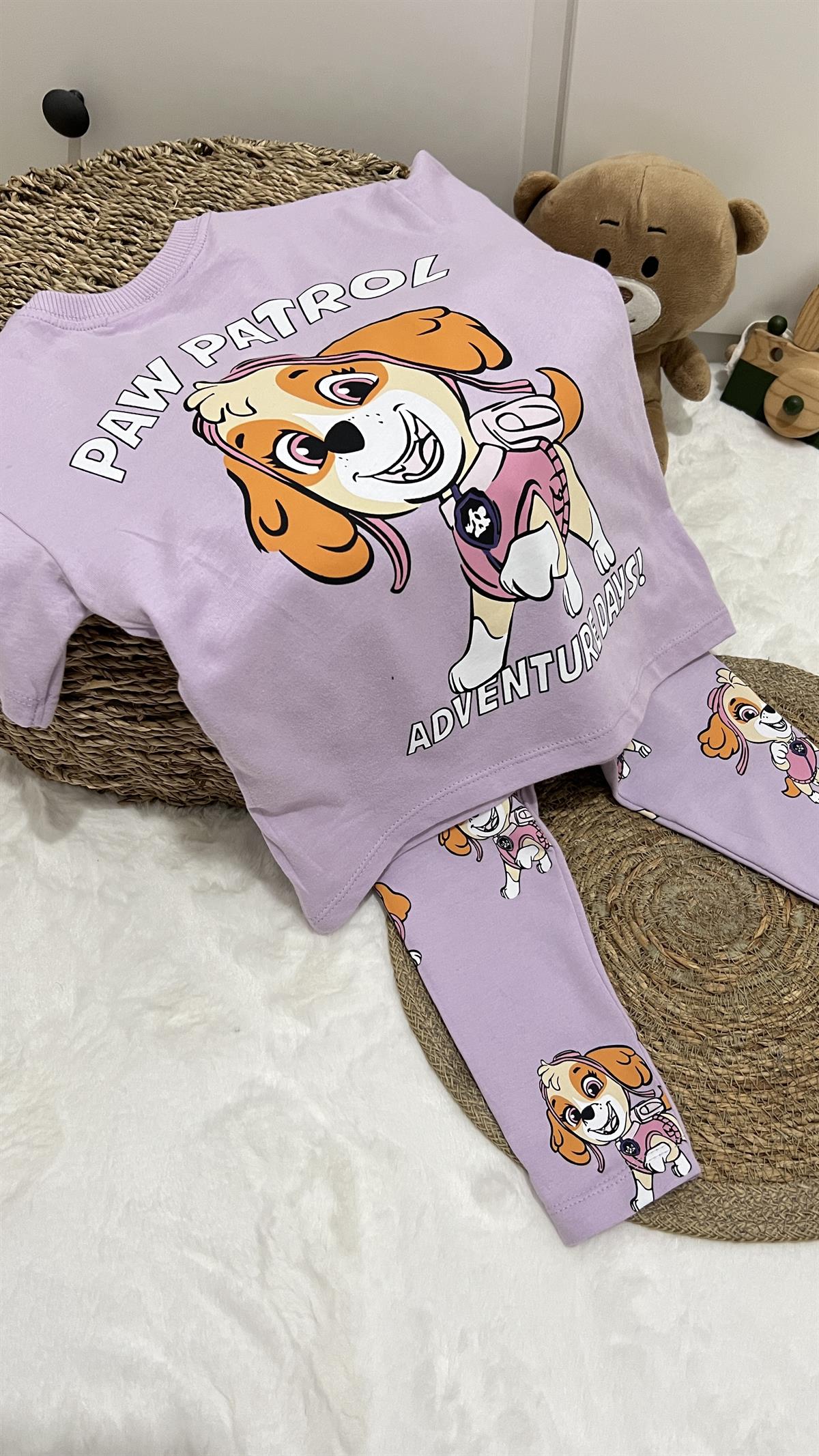Paw patrol  takım 