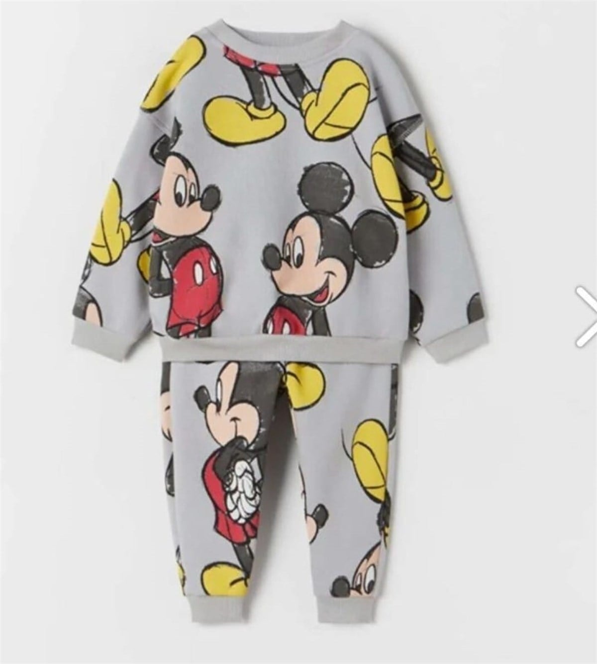 Gri Mickey takım 
