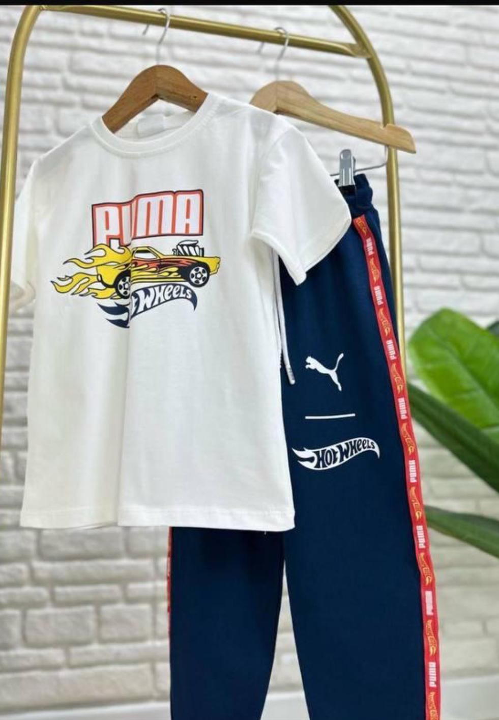 Hot wheels Puma mavi takım 