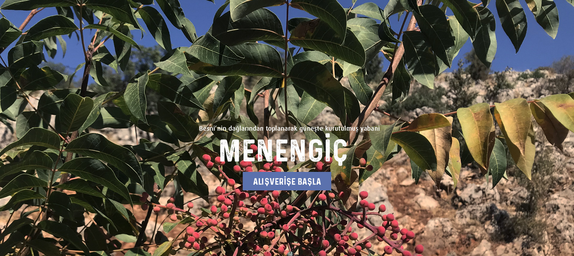 Menengiç