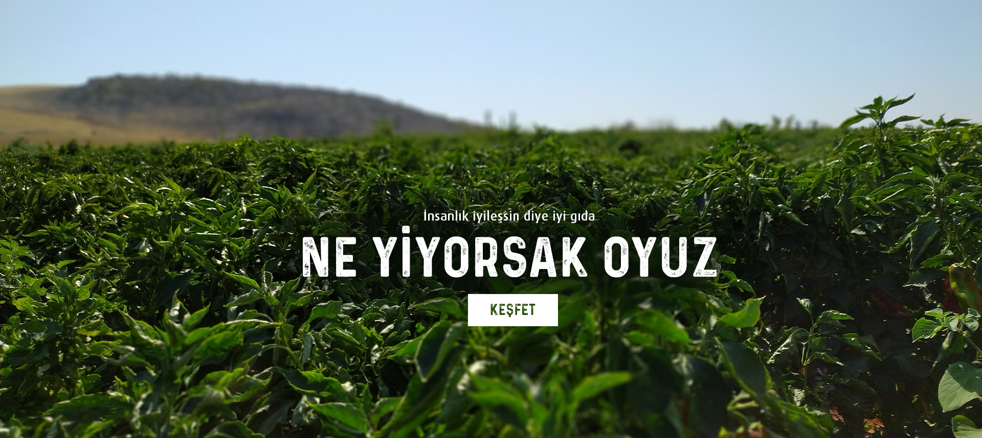Ne yiyorsak Oyuz