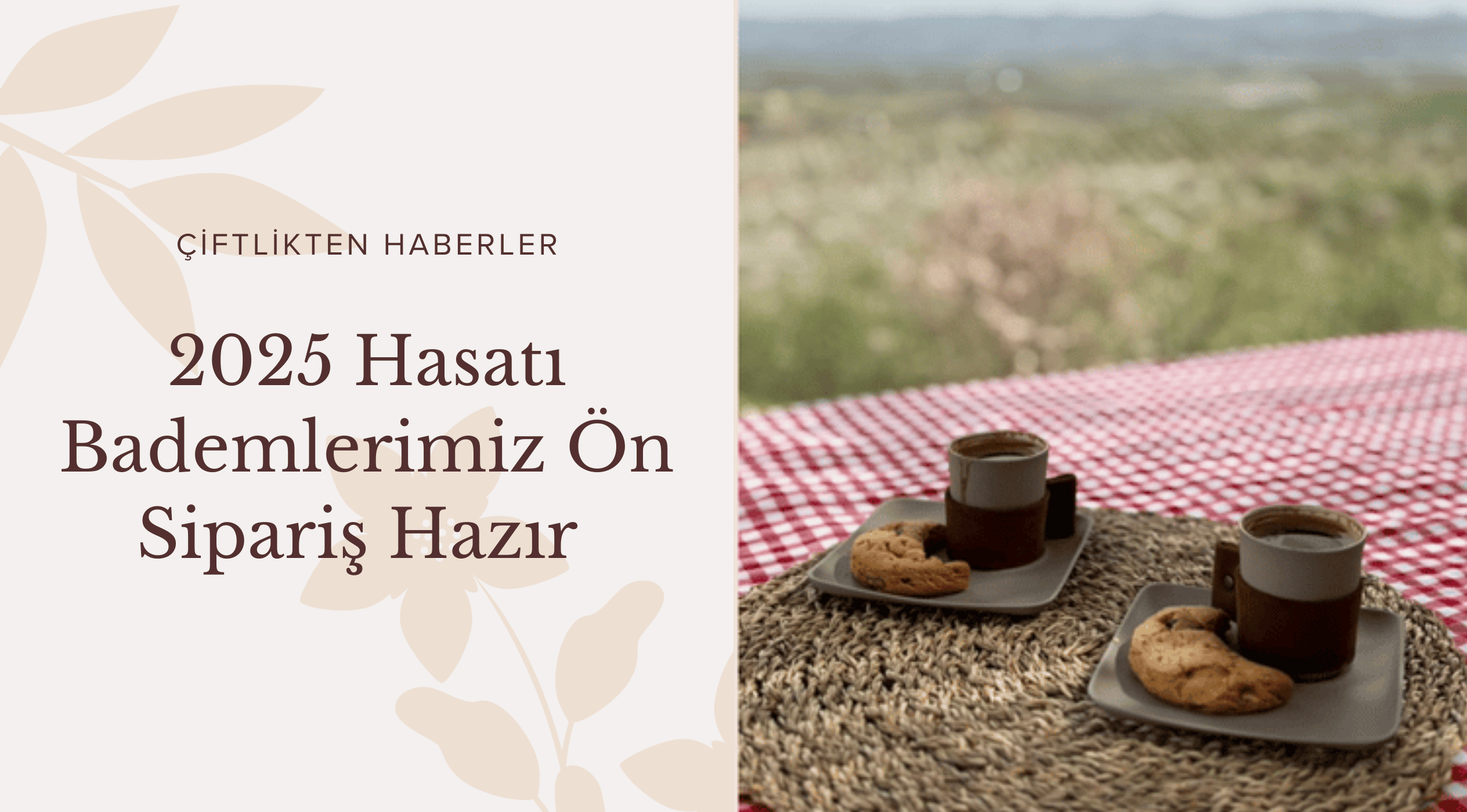 Yeni Hasat Bademler Ön Sipariş için HAzır