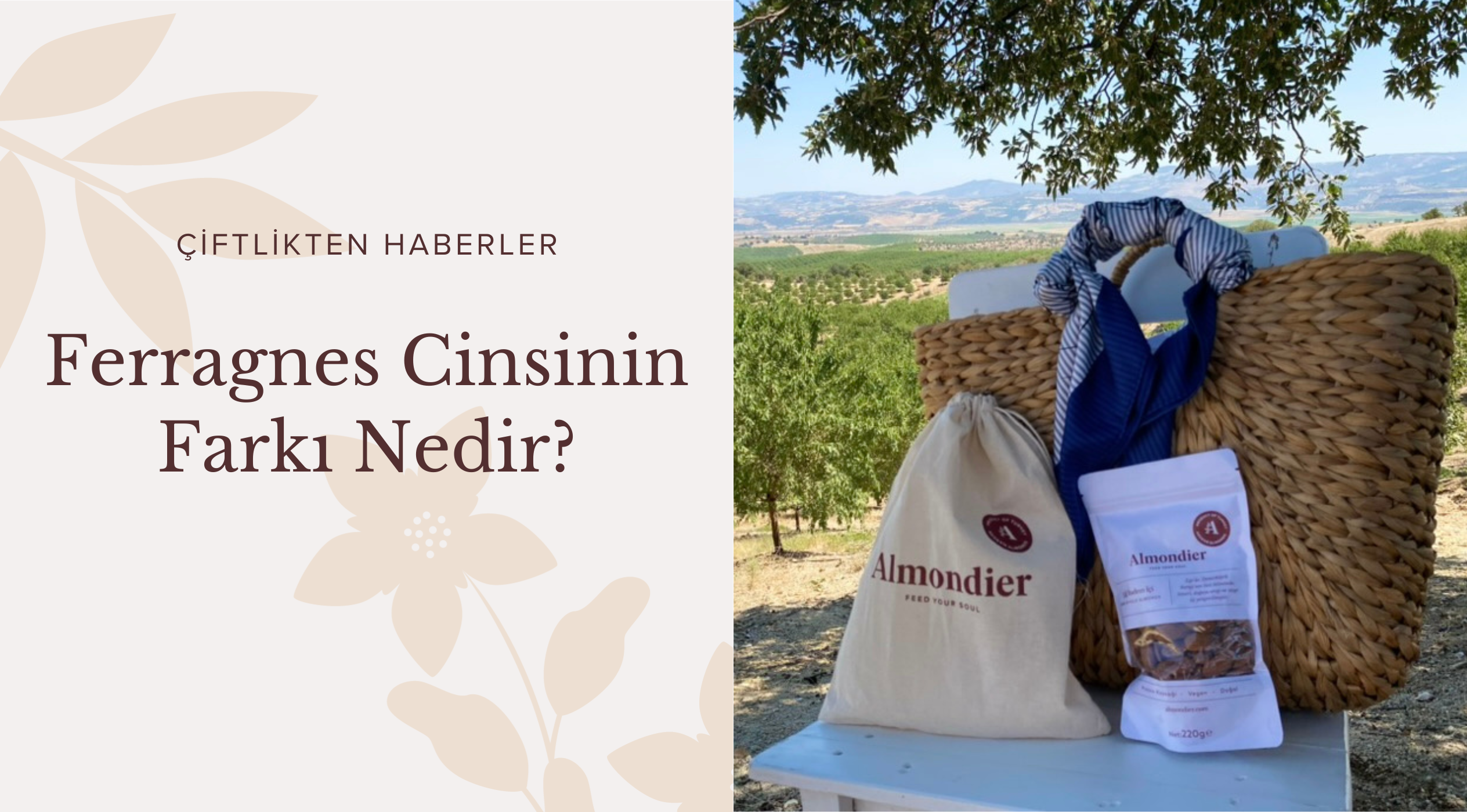Ferragnes Cinsinin Farkı Nedir? , çiftlikten, çiğ badem, ferragnes