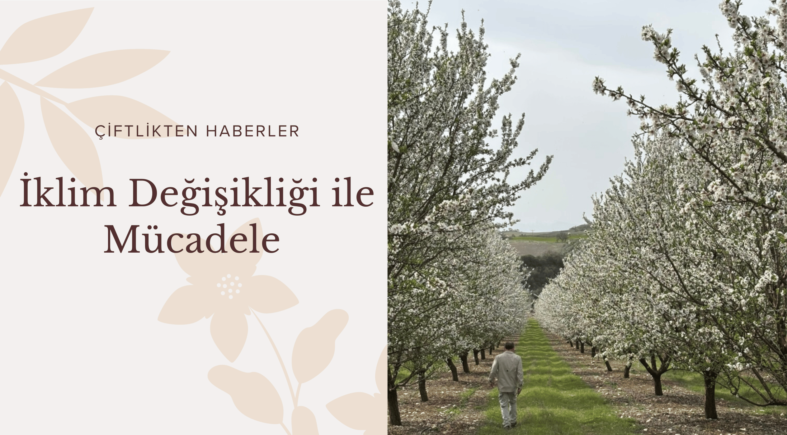 İklim Değişikliği ile Mücadele