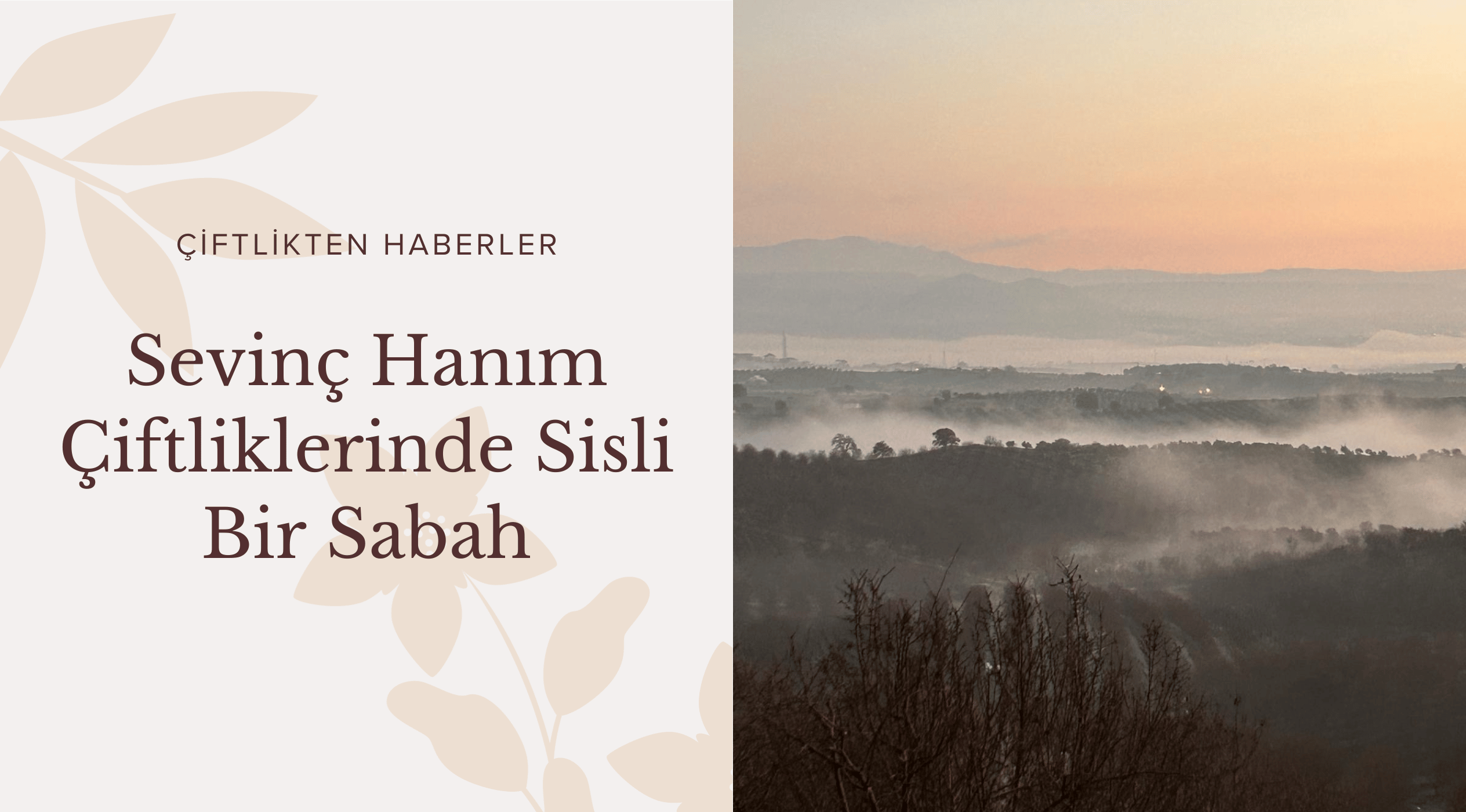 Sevinç Hanım Çiftliklerinde Sisli Bir Sabah