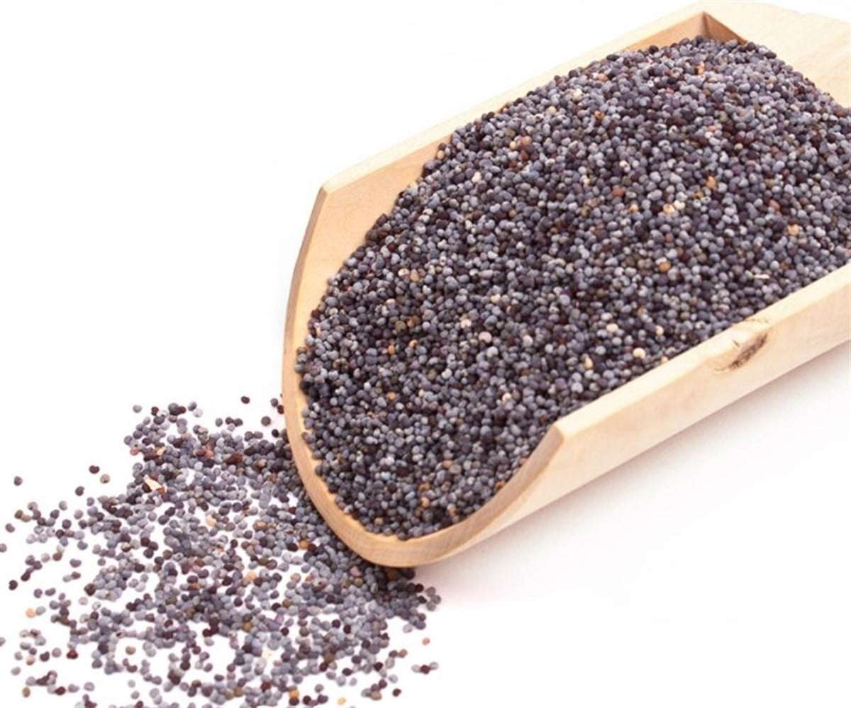Korkmaz Baharat Haşhaş 100gr